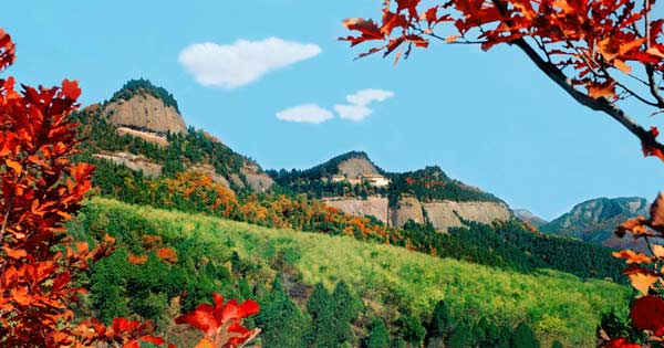 香山红叶 香山红叶