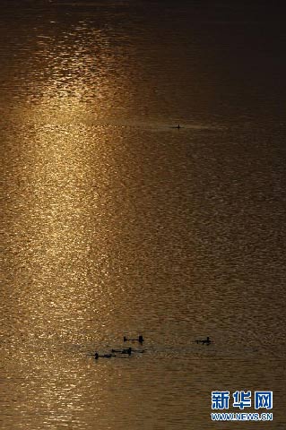 11月10日,在约旦死海,游客在水中飘浮 11月10日,在约旦死海,游客在水中飘浮