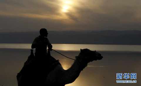 11月10日,在约旦死海,一名少年在岸边骑骆驼 11月10日,在约旦死海,一名少年在岸边骑骆驼