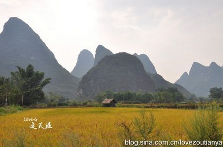 收获的季节 收获的季节