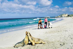 去南半球过冬 去南半球过冬