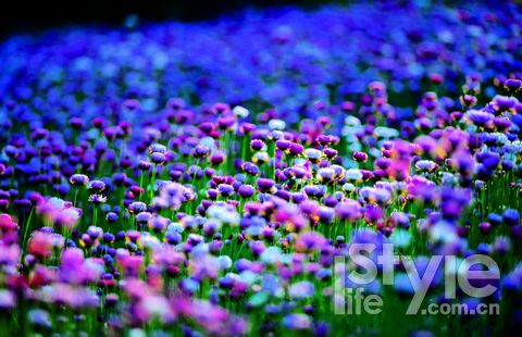 西澳纯净的自然环境让人迷恋 西澳纯净的自然环境让人迷恋