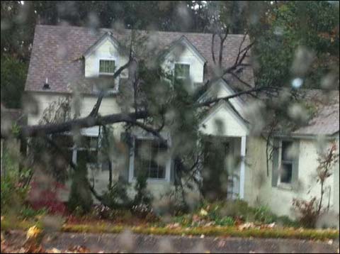 11月16日,在阿拉巴马州奥本市,狂风将一棵大树吹倒。 11月16日,在阿拉巴马州奥本市,狂风将一棵大树吹倒。