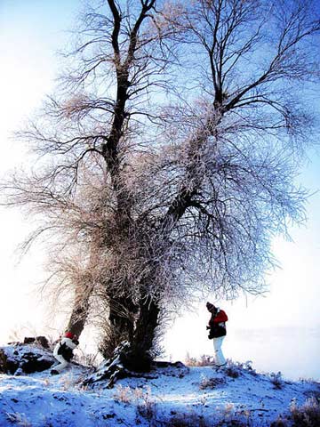 吉林市雾凇岛(东方IC) 吉林市雾凇岛(东方IC)