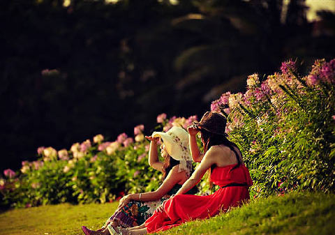 海南美景 海南美景