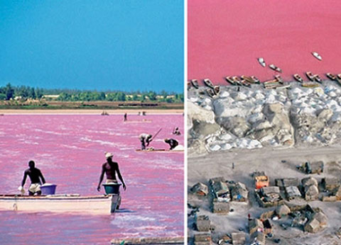 塞内加尔玫瑰湖 塞内加尔玫瑰湖