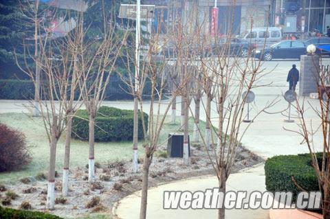 河北大部气温低迷,落叶乔木有的叶子已经落光。(刘东兴 摄 河北大部气温低迷,落叶乔木有的叶子已经落光。(刘东兴 摄