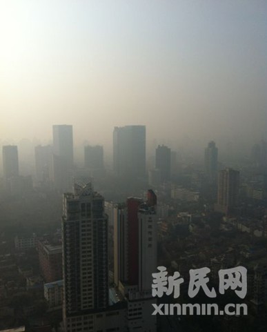 申城的早晨。新民网记者 李欣 现场回传