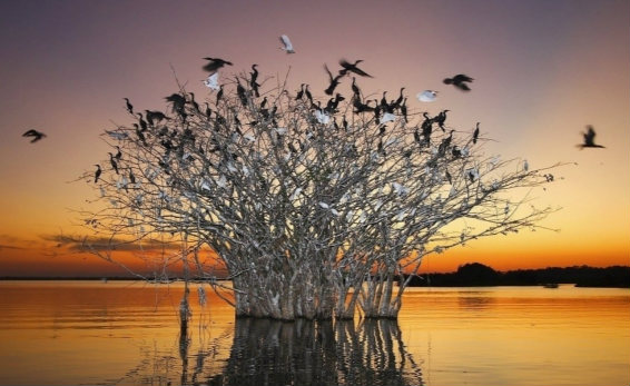 2015世界湿地日主题：湿地 我们的未来